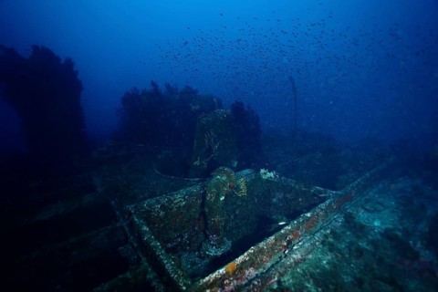 Abandoned shipwreck on the seabed, surrounded by fish, dive site Wreck le Donator, Giens peninsula,
