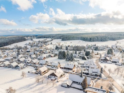 Snow-covered village surrounded by trees and fields under a blue sky, Oberreichenbach, Black