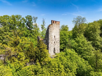 Aerial view of the Neuburg ruins, historical sight above Lake Constance, Untersee, Lake Rhine,