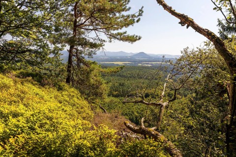 From the Großer Zschirnstein, view to the east to the Rosenberg, Reinhardtsdorf-Schöna, Saxon