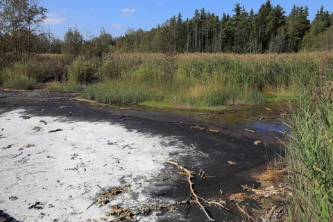 Mineralised water coming to the surface, deposits, formerly boiled down to salts in brewing huts,