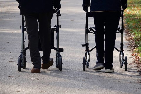 Symbolic image, senior citizens going for a walk on a rollator, autumn, Saxony, Germany