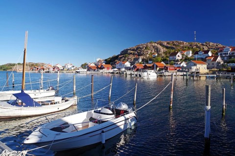 Small harbour with white boats and colourful houses on a sunny day, archipelago coast, Hamburgsund,