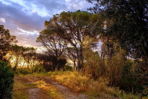 Sunrise at Cruïlles, Costa Brava, Catalonia, Spain