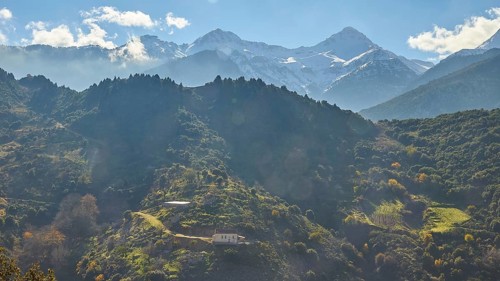 Morning mountain landscape with fog and sun rays breaking through the trees, Erymanthos Mountains,