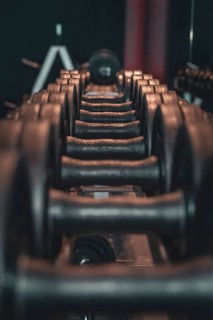 Lined up dumbbells in a fitness studio with a dark atmosphere, historic fitness studio, Bulls Fit,