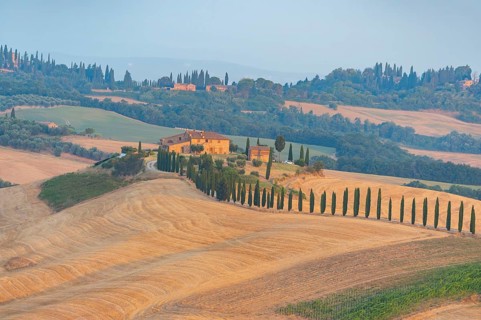 Typical Tuscan landscape in Crete Senesi with hills, trees, fields, cypresses and farm road in