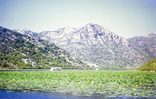 Boat trip on Lake Shkodra Lake Skadar Lake Scutari, between Albania and Montenegro, former