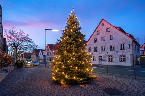Illuminated Christmas tree on the village square at dusk, Eschenau, Middle Franconia, Bavaria,