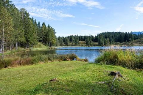 Wildensee am Kranzberg, Mittenwald, Werdenfelser Land, Upper Bavaria, Bavaria, Germany