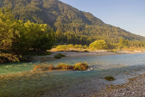 Isar valley nature conservancy area. The wild Isar river flows through its gravel bed past
