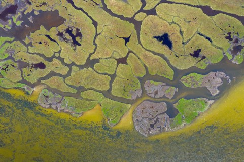 Aerial view over salt marsh on the island Kirr in the Darß-Zingster Boddenkette, along the German