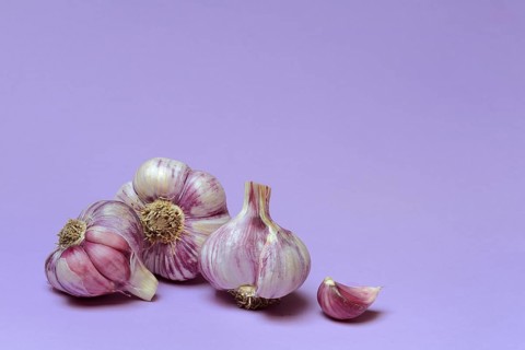 Fresh red garlic, France
