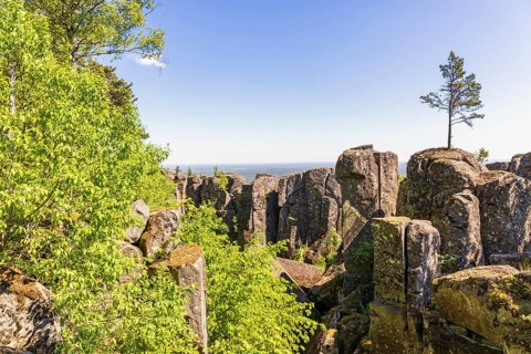 Single pine tree on rock boulders in a dramatic ravine landscape with a view to the horizon,