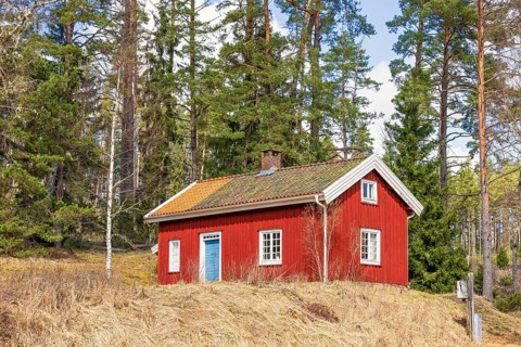 Idyllic red wooden cottage by the forest edge with pine trees a sunny spring day, Sweden