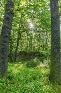 Ruins of the former Körse hilltop castle in Kirschau, Upper Lusatia, Saxony, Germany