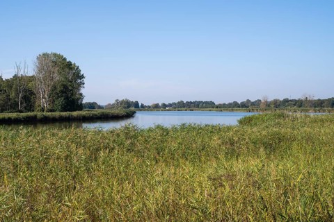 Landscape on the Achterwasser, Koserow, Usedom Island, Baltic Sea, Mecklenburg-Western Pomerania,