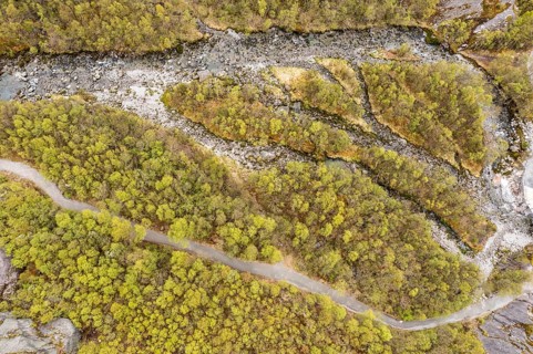 Aerial view of river and path in a birch forest, path from parking lot to glacier Briksdalbreen,