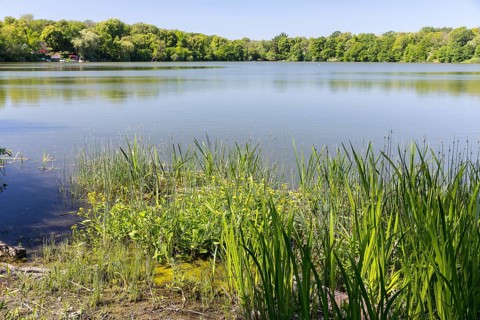 Auensee, Leipzig, Saxony, Germany