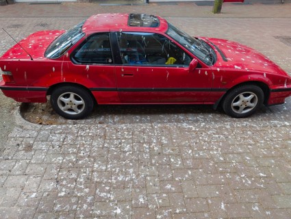 Red car full of bird droppings