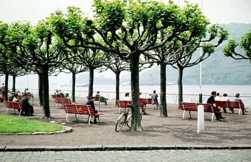 People sitting on benches on a terrace overlooking the Rhine, Andernach, Mayen Koblenz,