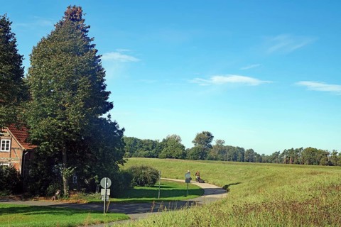 Cycle path along a dyke, green fields and trees under a blue sky on a clear day, autumn, cycle