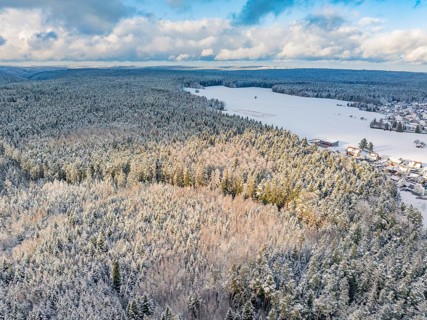 Snowy forest and fields taken from the air, blue sky with clouds, cold and wide scenery,