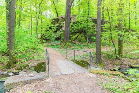 Hiking trail crosses the Kotitzer Wasser stream with a bridge in the Lausker Skala, Lauske,