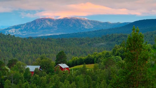 View of Dovrefjell, mountain, landscape photo, landscape format, fir forest, red wooden house,