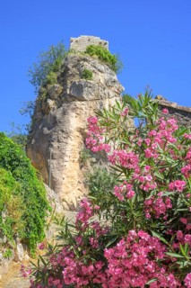 Red flowering rhododendron behind a stone tower in Châteaudouble, Département Var, France