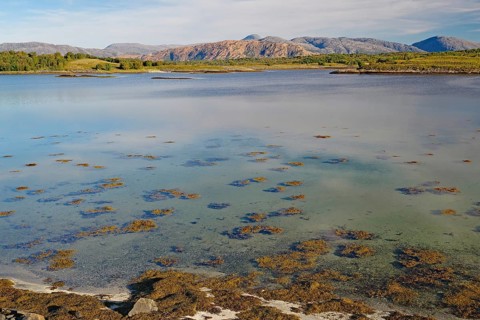 Transparent, clear water and reddish-brown rocks, Alstahaug, coastal road 17, Nordland, Norway