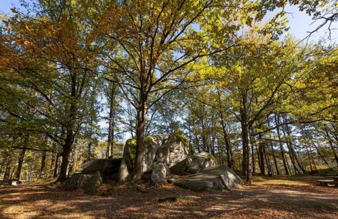 Granite rock Schuldstein, natural monument, Blockheide nature park Park near Gmünd, Waldviertel,