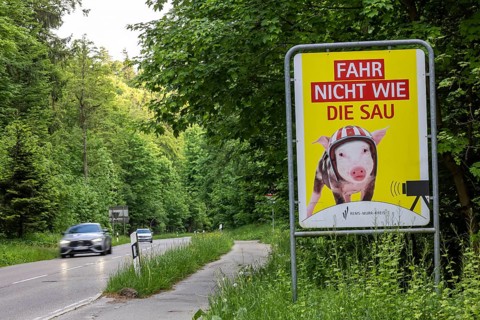 Safety campaign of the Rems-Murr district office. Motto: Don't drive like a pig. Kaiserbach,