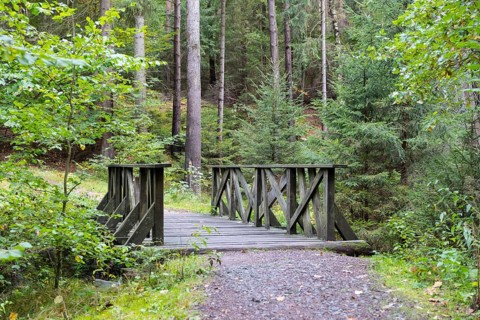 Alte Acht Bridge, wooden bridge on the Alte Acht hiking trail through the Dresden Heath, Dresden,