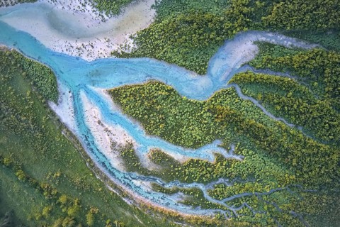 Branched wild river with blue water in forest landscape from above, drone photography, Bavaria,