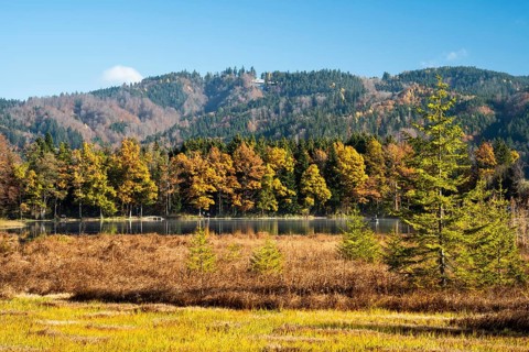 The Hengelesweiher pond in the Hengelesweiher nature reserve in autumn. The lake is surrounded by