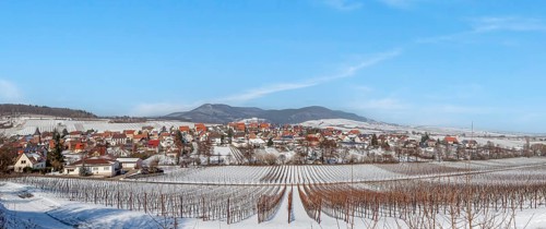 View over snow-covered vineyards to the wine village of Ranschbach, Southern Palatinate,