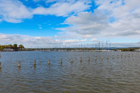 View of a harbour full of yachts under a blue sky with clouds, Lake Neusiedl, Burgenland, Austria