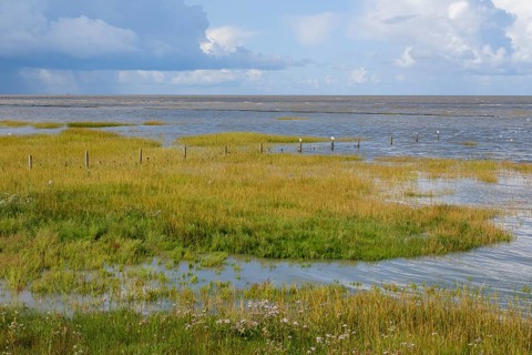 Salt marshes in the Wadden Sea National Park, Dark clouds over the sea, Norddeich, Norden, North