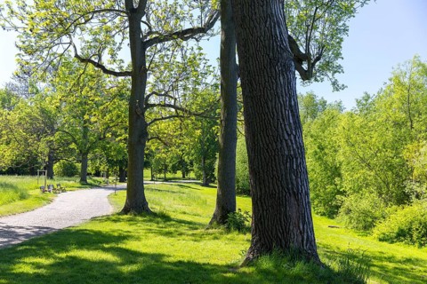 In Auensee Park, Leipzig, Saxony, Germany