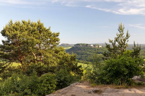 View from Kleiner Bärenstein to Königstein Fortress and Pfaffenstein, Saxon Switzerland, Saxony,