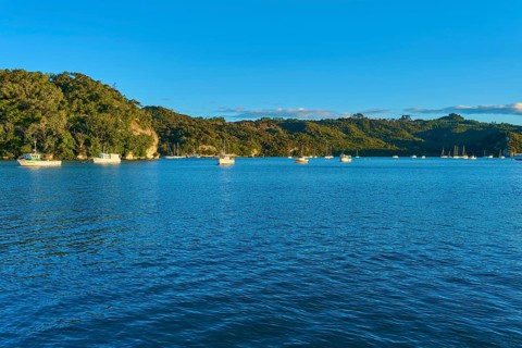 Blue water of the bay with several boats and green hills under a clear sky, Whitianga, Wakaito,