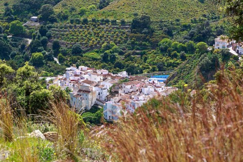 Picturesque village of Salares at the foot of Sierra Tejeda nestled in green hills and fields,