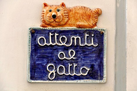 Glazed ceramic warning sign attenti al Gatto, caution cat, Gaeta, Tyrrhenian Sea, Latina, Lazio,