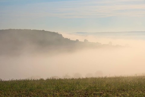 Landscape, Field, Valley, Forest, Fog, Morning, Altertheim, Würzburg, Bavaria, Germany