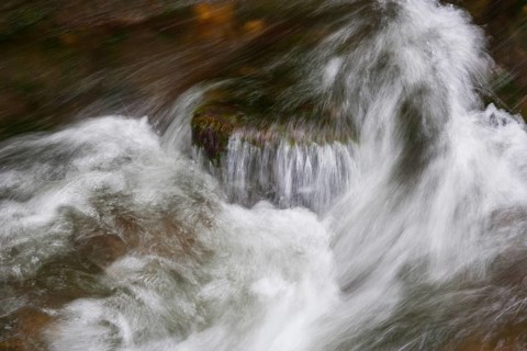 Mountain stream, Zellerache flows over stones through the Helenental, Mondsee, Mondseeland,