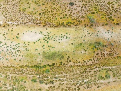 Detail of marshland near Sanlúcar de Barrameda. Aerial view. Drone shot. Cádiz province, Andalusia,