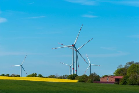 Small wind farm between agricultural areas, rape cultivation, barley, deciduous trees, close to the