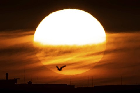 The sun rises in the morning behind the Frankfurt district of Riedberg, Riedberg, Frankfurt am
