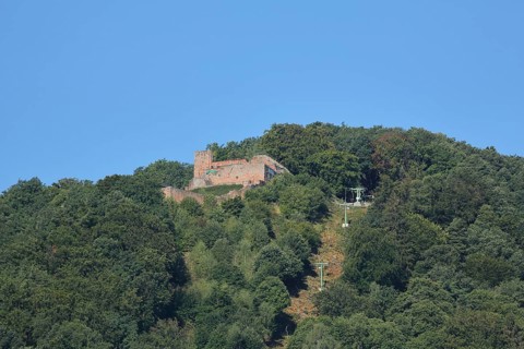 Rietburg near Edenkoben, Wine Route, Palatinate Forest, Rhineland-Palatinate, Germany